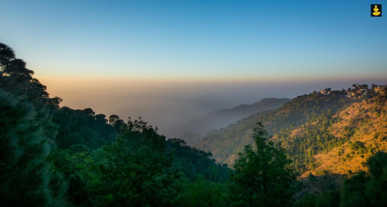 Livingstone 2Bhk Cozy Homestay In Kasauli Hills المظهر الخارجي الصورة